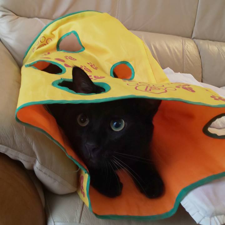 84f1a294 17d9 4f3c a692 4c1406203c0a 1600558717573