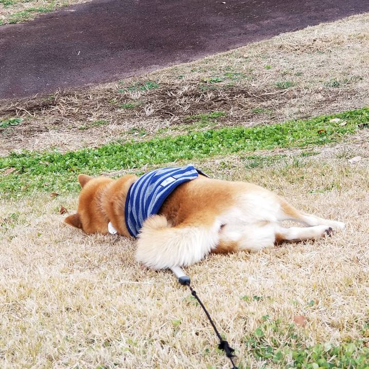 84f1a529 88e1 408c 806b 82cd9052dbdd 1639719864861