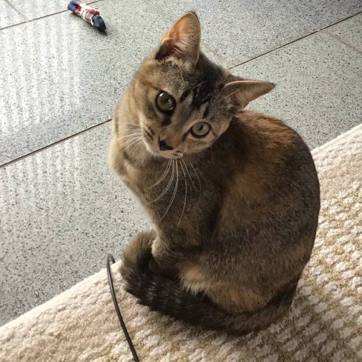 84f1c1e1 1681 42ee b384 80498fc51997 1573190477649