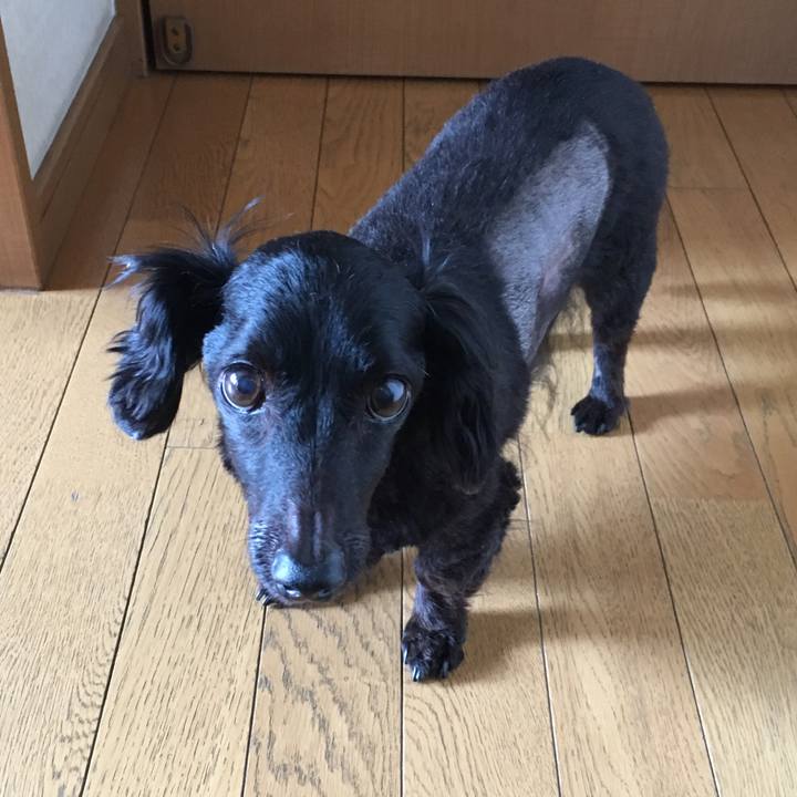 84f1cac8 e0e5 4ef3 9414 bde5a275e6c2 1532474806530