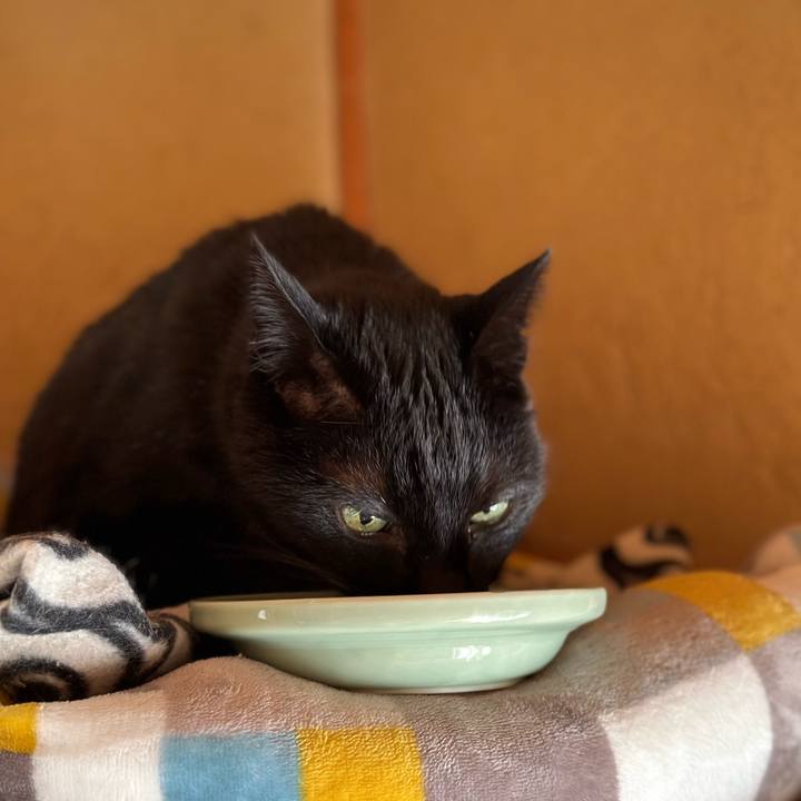 84f1fe42 71f0 44fa 957a 2b274e931729 1678844962086