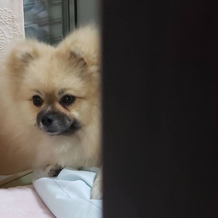 84f2031e b3cd 4cd3 9753 8889fa4f3598 1636196022553