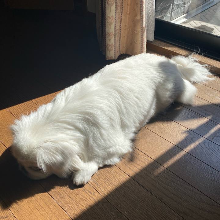 84f20ba5 0cf8 47f7 b014 b0924f49cd6d 1644637026502