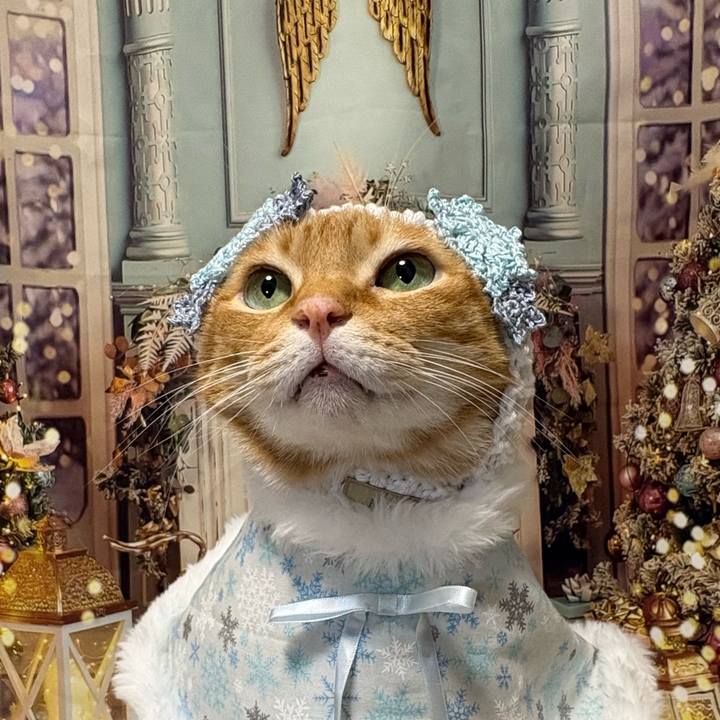 84f2be36 247c 45af a7f1 bab5d8487d13 1763102270369