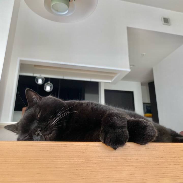 84f2c5b0 d40c 4920 b02b e4865e747576 1690689907738