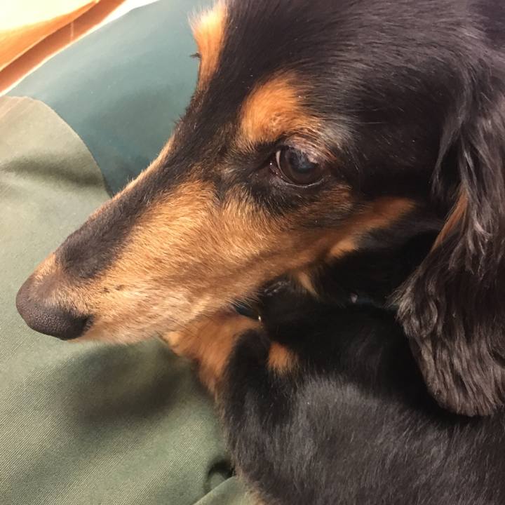 84f2ea60 4918 4e66 80d0 eb66be12e02f 1511872499131