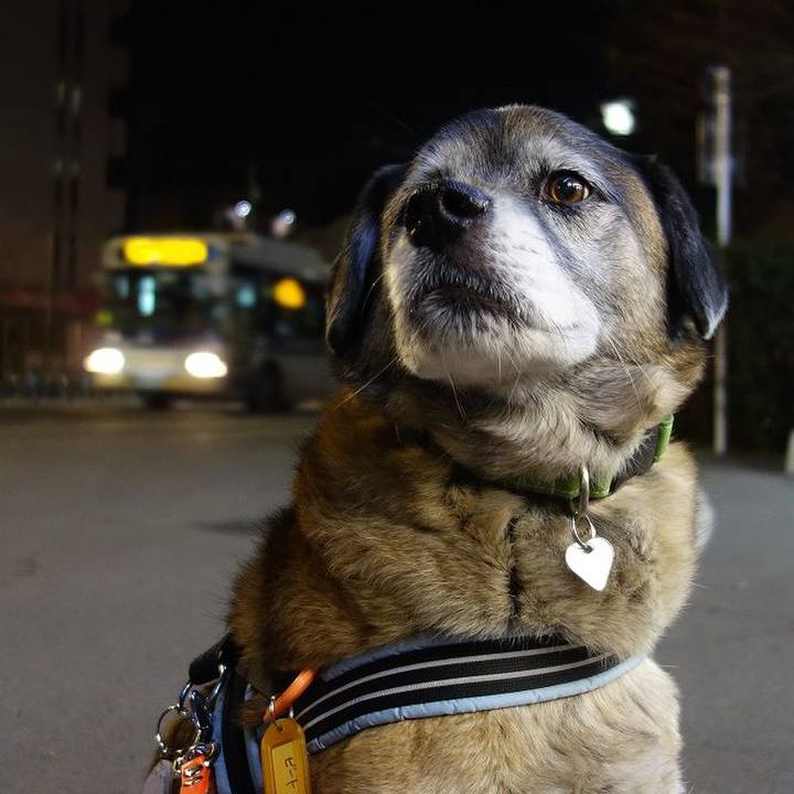 84f32058 ec5a 4801 b588 0c4eb43444b6 1519470946149