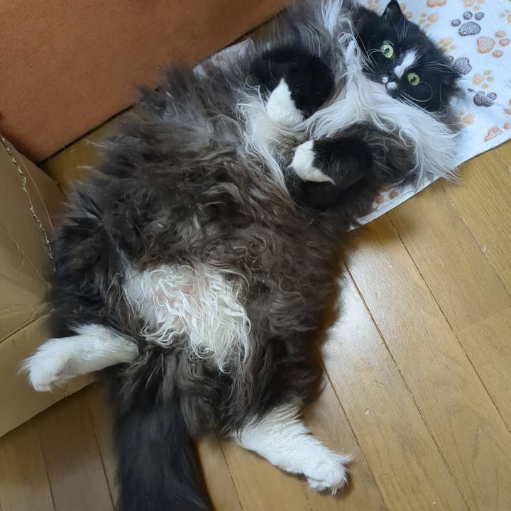 84f32202 e123 4b6b 9af3 45d45d658fb2 1765705798941