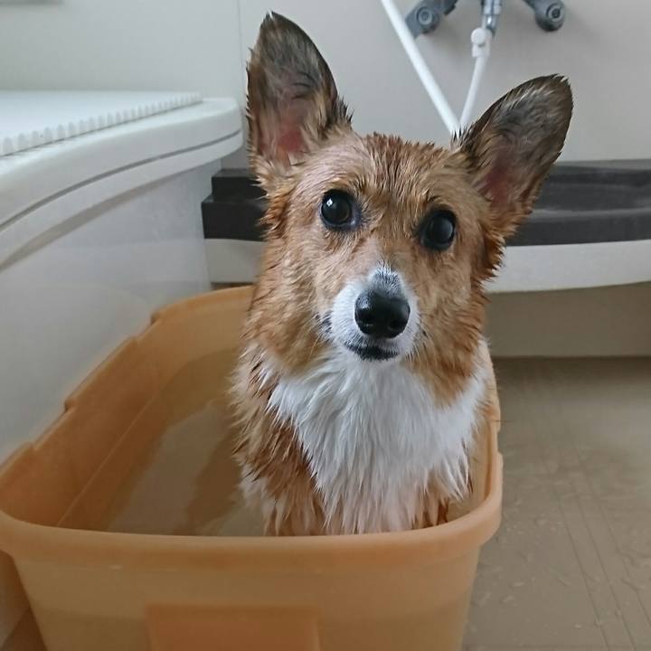 84f3317b 5ea8 47ea 9cab 69ad4e705121 1541915024435