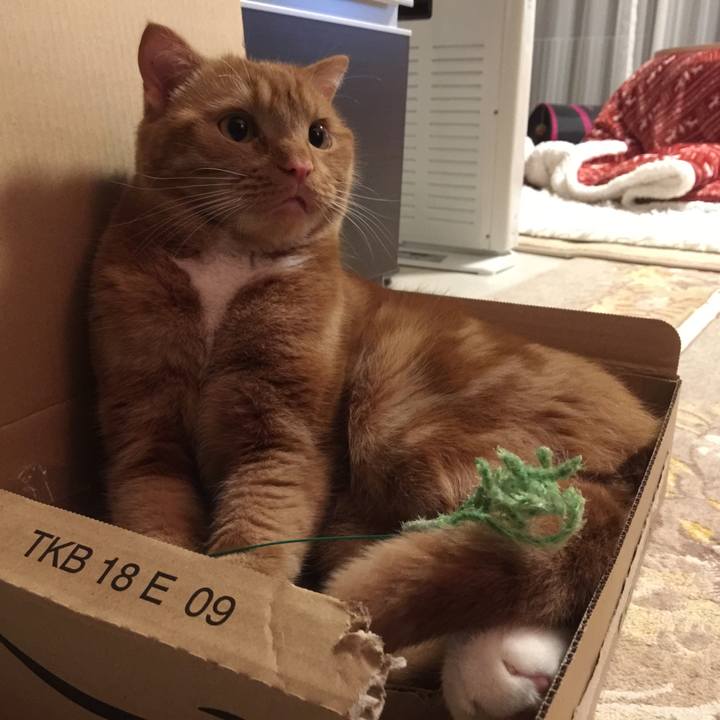 84f33bf9 d891 4079 a4fd 8c3d0cd14386 1526476535196