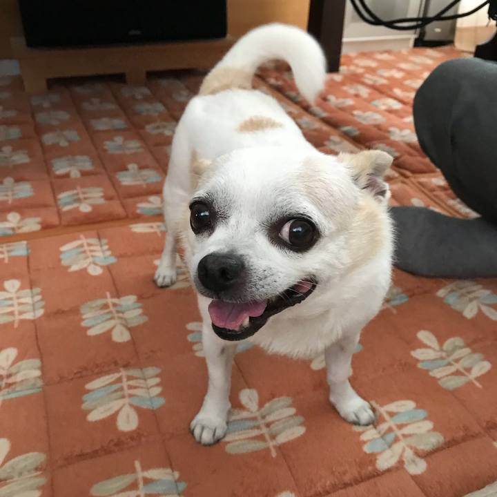 84f34659 c034 4754 b1c9 eb0fc9067b64 1531480224487