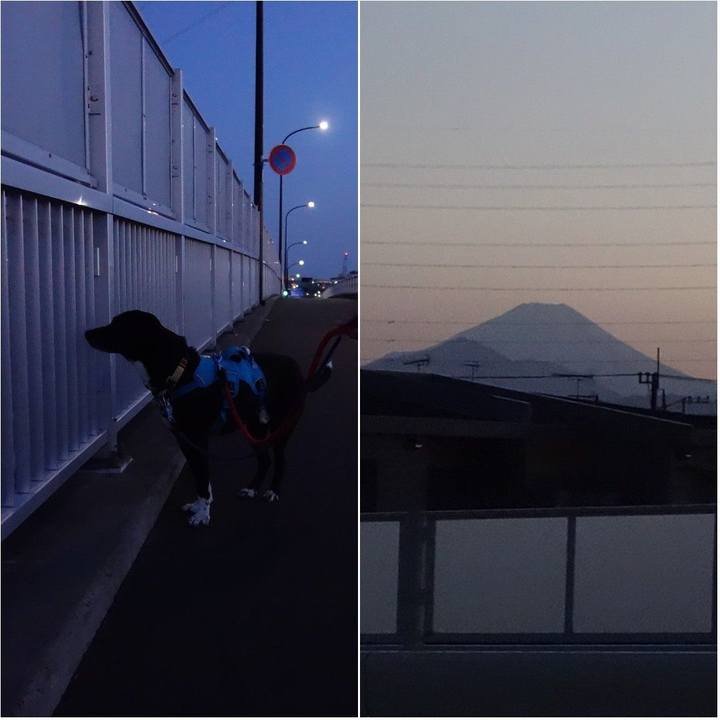 84f3824a e354 4f42 8847 70dc89e09994 1618742932204