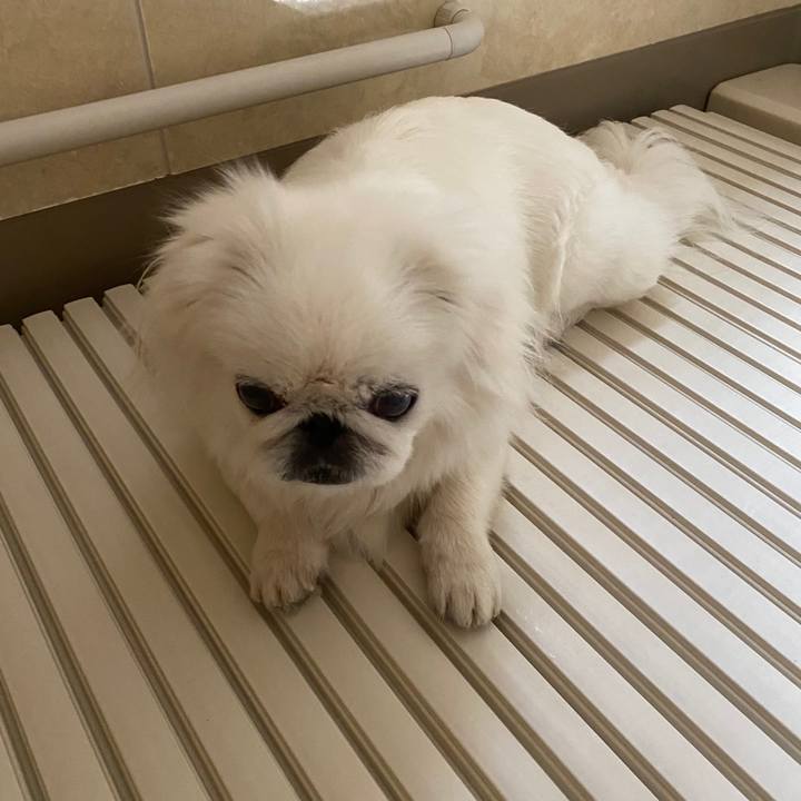 84f38391 fd76 43a5 9492 99dca80cc62c 1592873729751