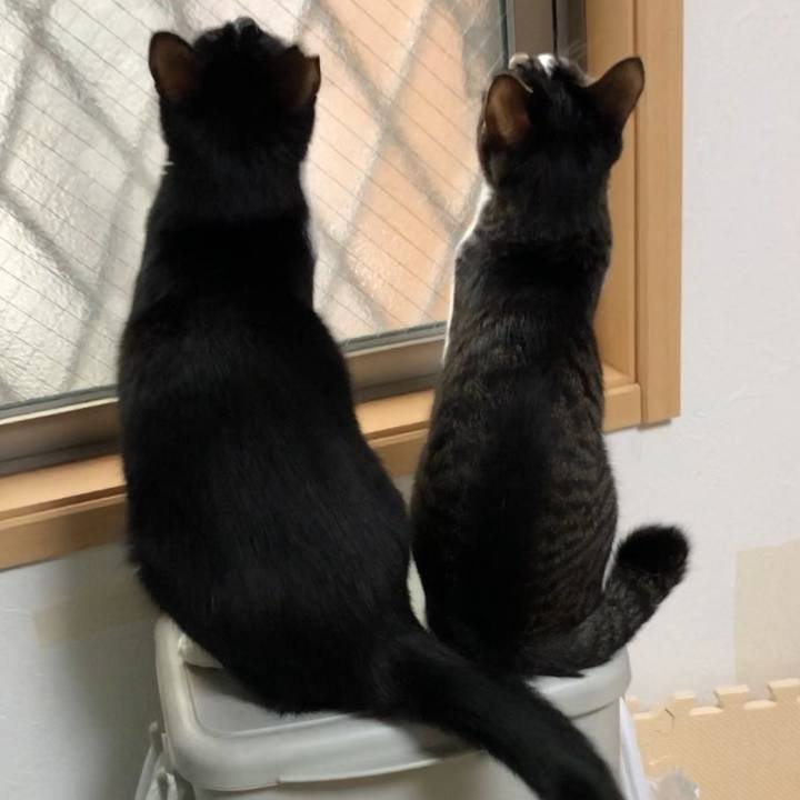 84f389d9 667c 47ed ab33 293d8c1b0030 1544848554960