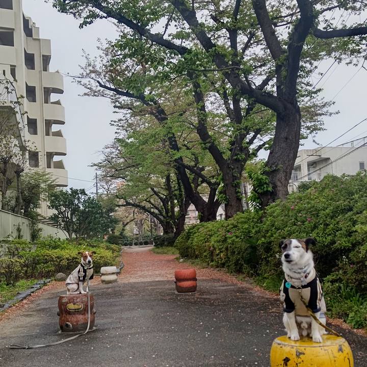 84f39057 61a8 42cd b480 0542db5c50c6 1680736323248