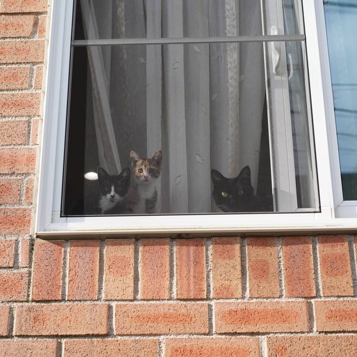 84f3aedf 8b06 4978 aa5b d2b44ca5a530 1568937848075