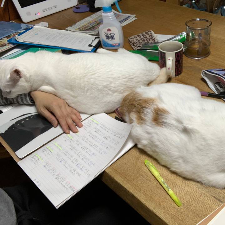 84f4145f dd34 4262 ac78 411a51f692ba 1585321804994