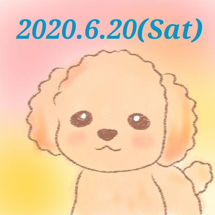 84f4a3dd 3437 4675 b5fb 4a0451ebe887 1592663235410