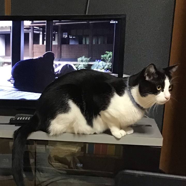 84f4a4e8 681b 4ce8 bb0d 2b4e417ff75c 1671365458501