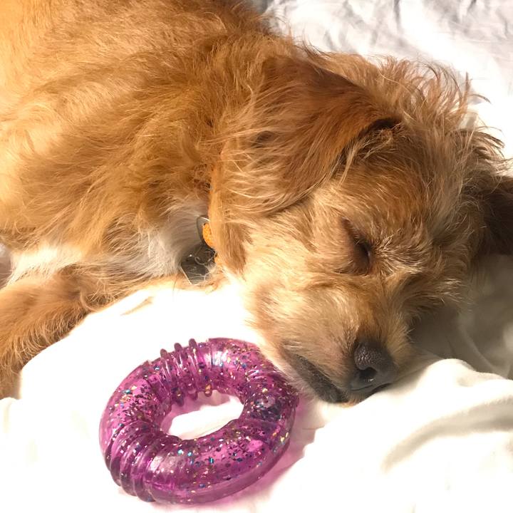 84f4c472 5583 4c64 9e7f bdc439606d7a 1598622567184