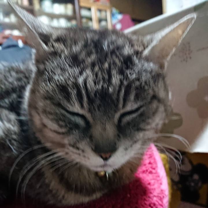 84f537a6 8c3f 4fd2 87bf 3f1df1c07e74 1554283907165