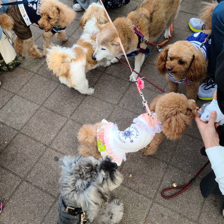 84f53c54 2fd9 4f47 b3f7 9d9b2cf678cf 1620984615565