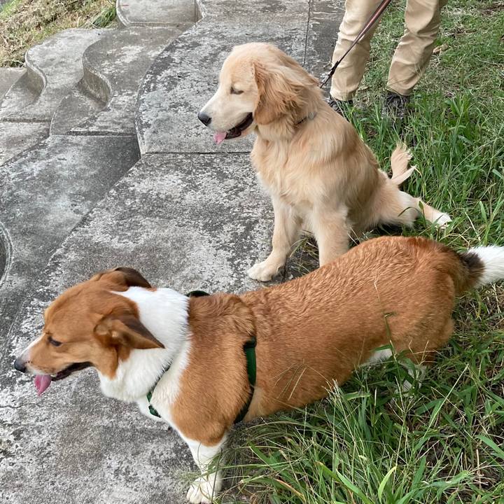 84f57968 4984 41e1 89e4 21ea1256ad1f 1697072093943