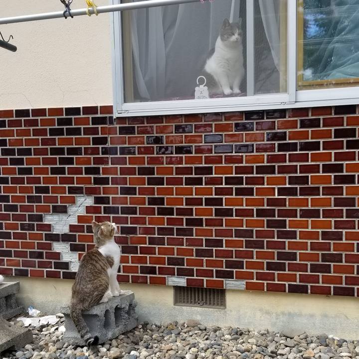 84f5a3b2 3216 4db6 ad30 16701a72701d 1658737221766