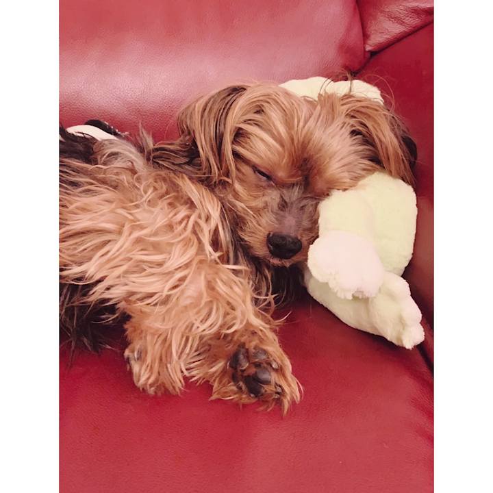 84f5b341 a8f0 40e0 9bdc 5b6ab6ae7a8e 1559044832419