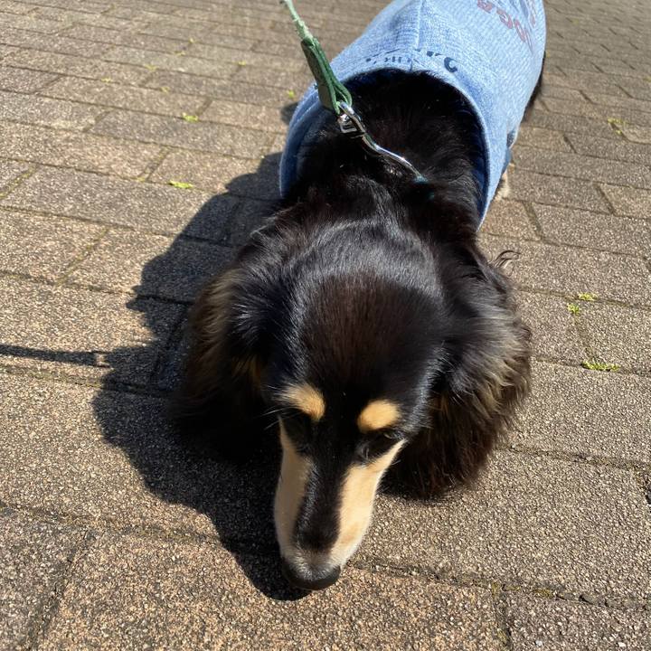 84f5b557 9944 4696 811d 1ec82898da77 1683249901798