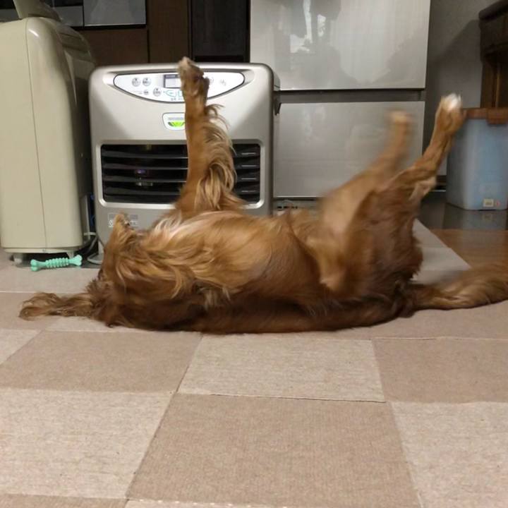 84f5d5e5 2d65 41ab 872e b4a3c81f1e65 1638482897958