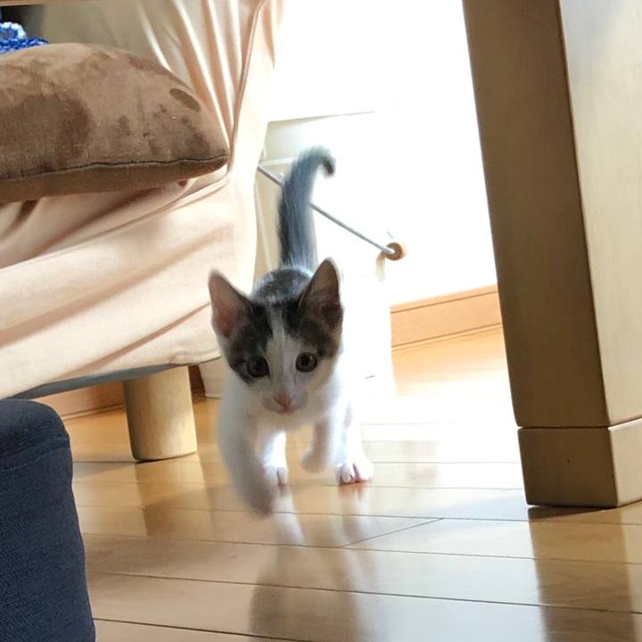 84f5e099 08be 4bc4 a78e 8d4209ed048a 1563092443452