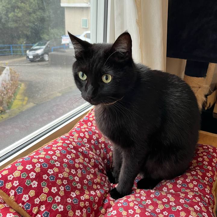 84f5e5f0 cb73 44f8 946b 21a336fca76b 1637538874964