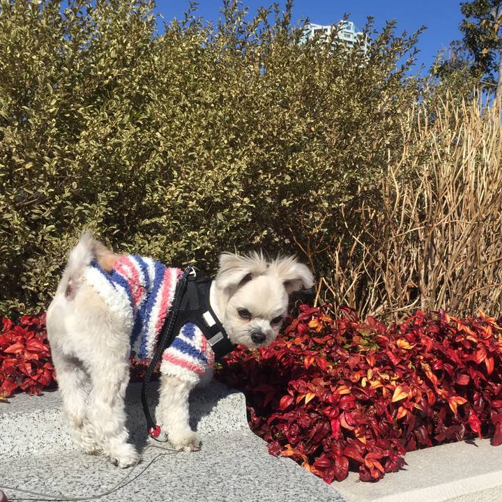 84f63b07 eafd 4a4c 8b7d a364c6c49acf 1517312122766