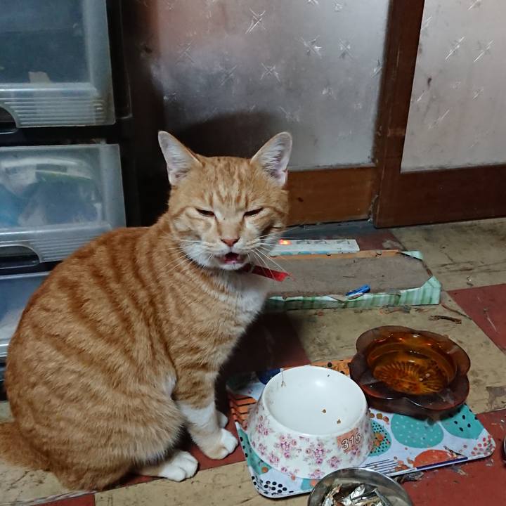 84f659b9 75ae 494e a961 1d628fae5b85 1573857132914