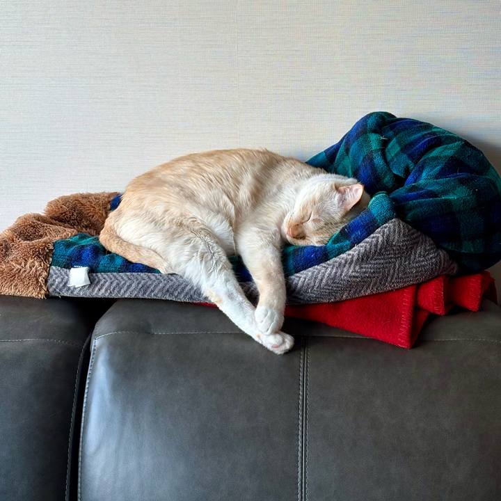 84f66464 c7c2 4659 95b3 c63e4bc3d5bb 1768547197159