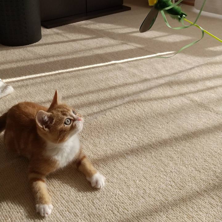 84f677d9 b6f0 42d4 8025 1430d866f0e0 1645610411373