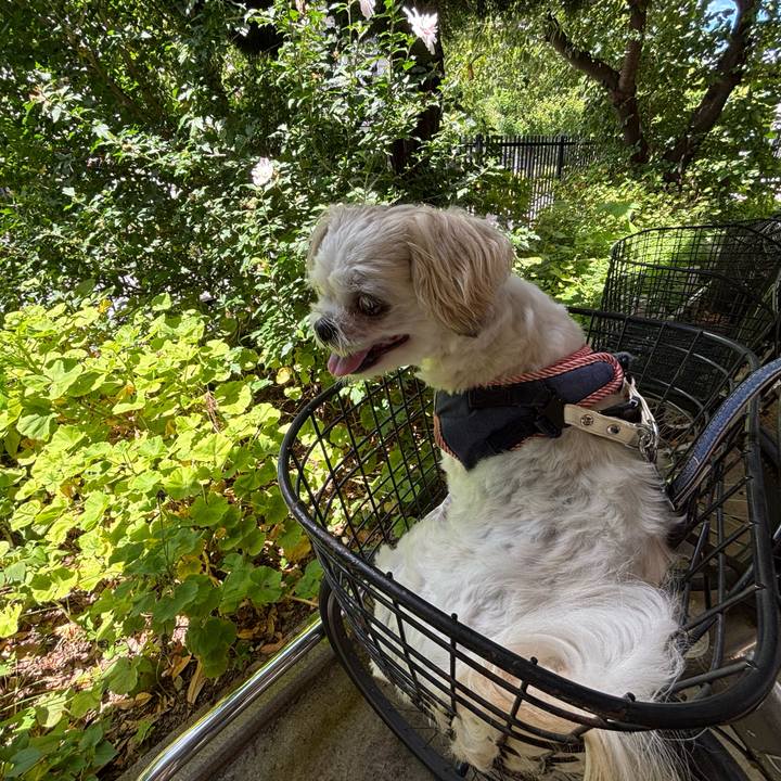 84f6890e a988 4704 b859 d00546f7eb0c 1753047584493