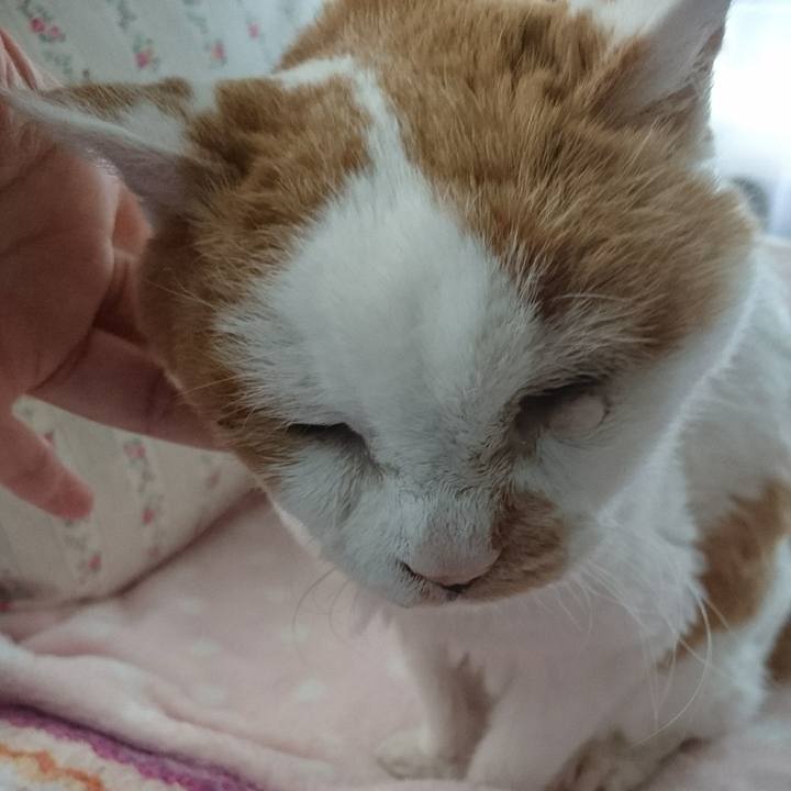 84f69047 ebaf 4f58 b154 9cd26ba10773 1690676304652