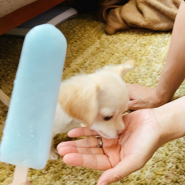 84f6c59d aa60 4ba3 89e8 457e5956b05a 1591259874522