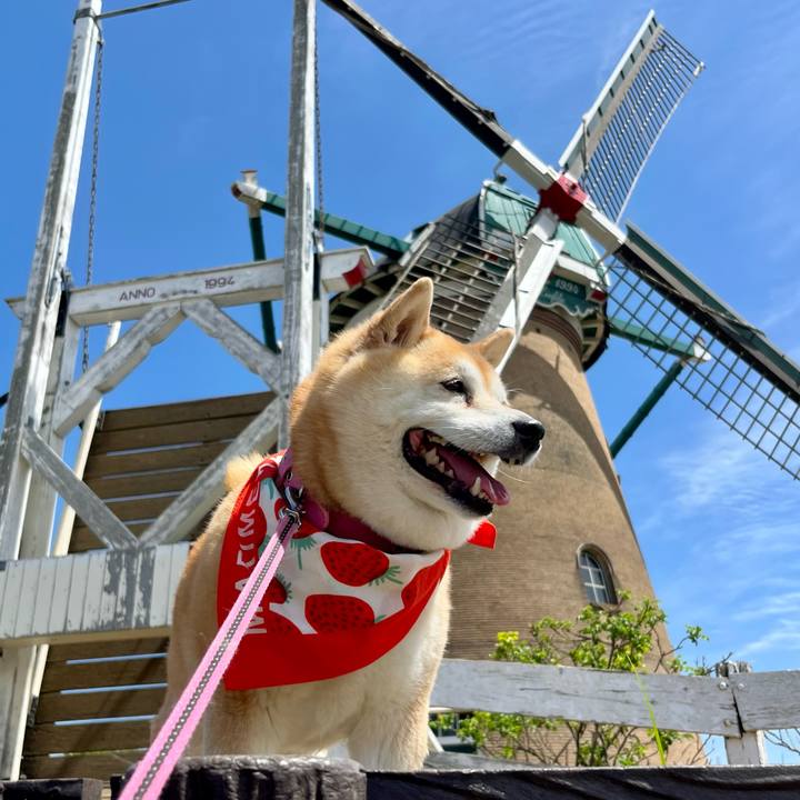 84f6e253 3702 478f 8897 4a3ba63f5390 1681903784736