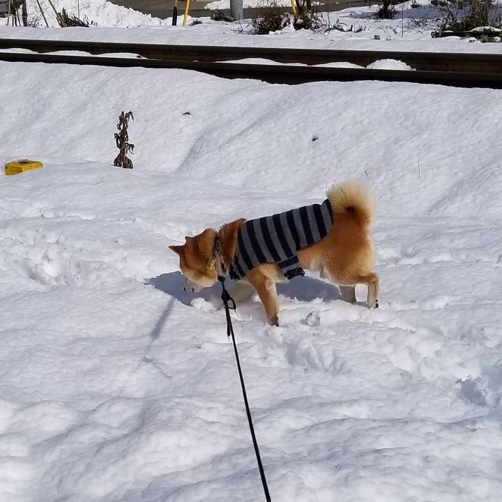 84f6fba7 6a22 486b 9dd9 f8f962f41b45 1580539228843