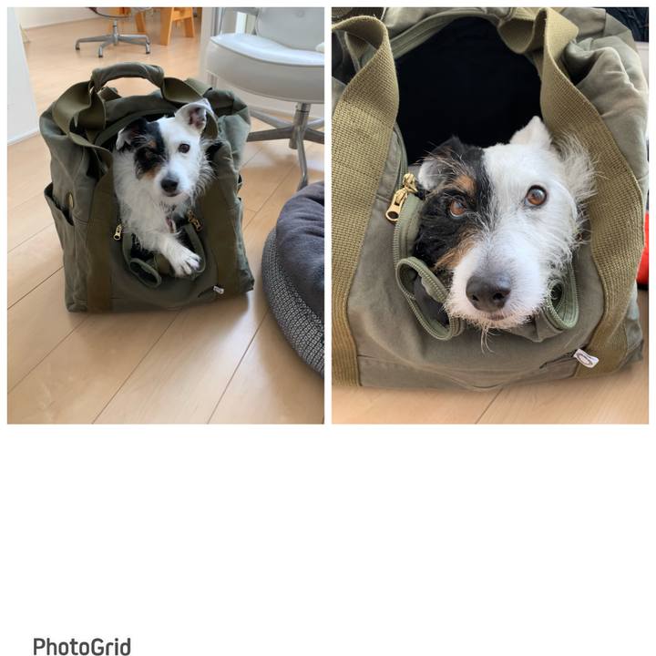 84f70c4f b4bc 4def a7e5 95fe560306a8 1681609016001