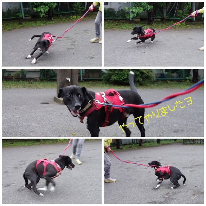 84f71fc6 269f 4eaa 84cf 9f33d579f555 1622110152630