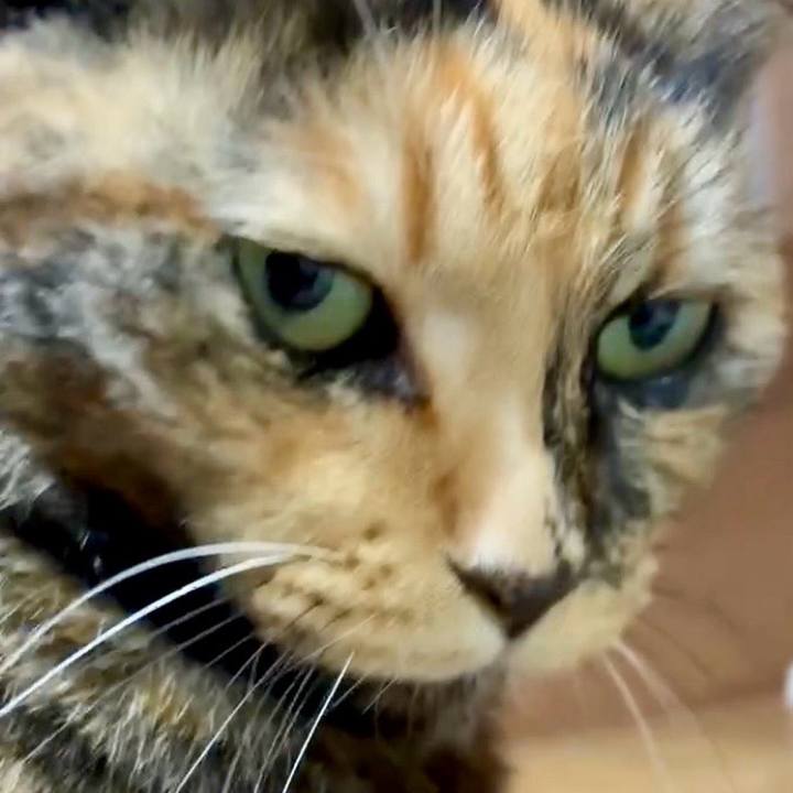 84f74f22 02e3 4072 861a 53d3b54c8788 1763006021084