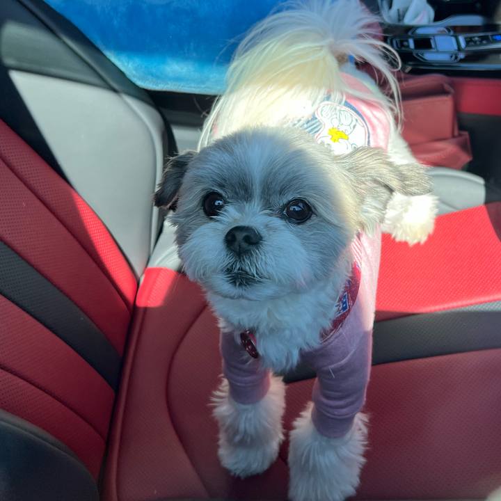 84f77e1f 7dca 4da8 b465 f686b6a77aa4 1679476498493