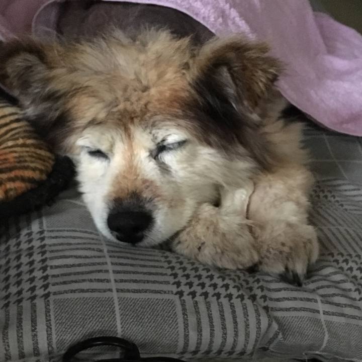 84f794d0 66a5 45ef af12 f395a70d9d19 1549855225298