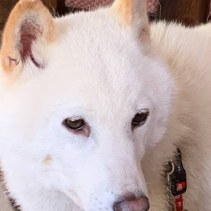 84f7973b 2c02 42dd 87e9 35f4c9fd3093 1561755668348