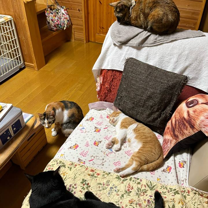 84f79d36 65d9 49d7 b98c 616a8bf1137f 1665222689339