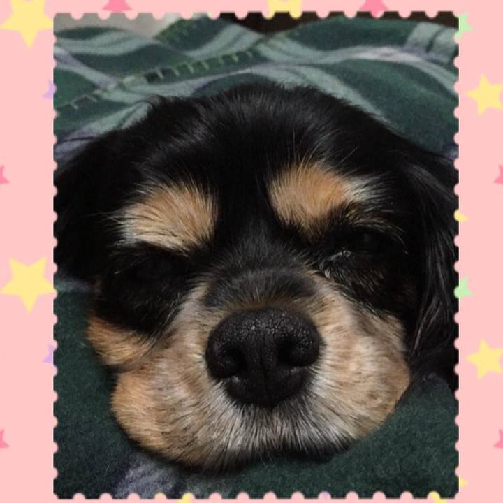 84f7a7e3 974e 4b22 b391 7fdc1582099c 1509946030056